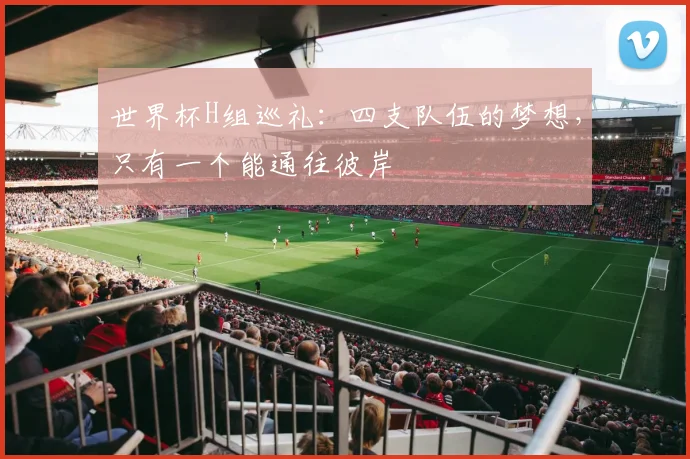 世界杯H组巡礼：四支队伍的梦想，只有一个能通往彼岸