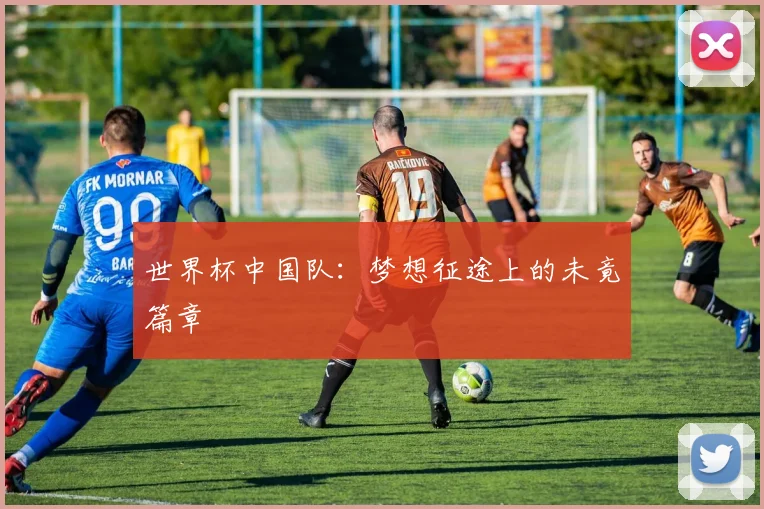 世界杯中国队：梦想征途上的未竟篇章